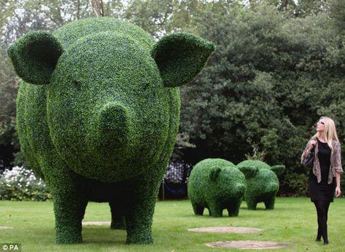 猪绿色植物景观雕塑