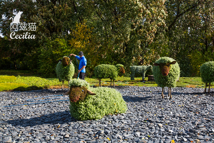 绵羊绿色植物景观雕塑