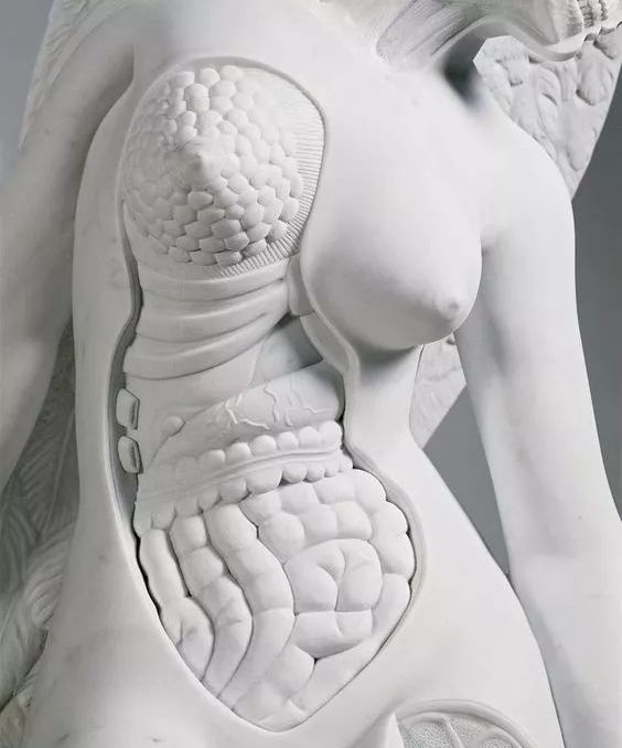 英国艺术家达-达明安·赫斯特的内脏女人体雕塑